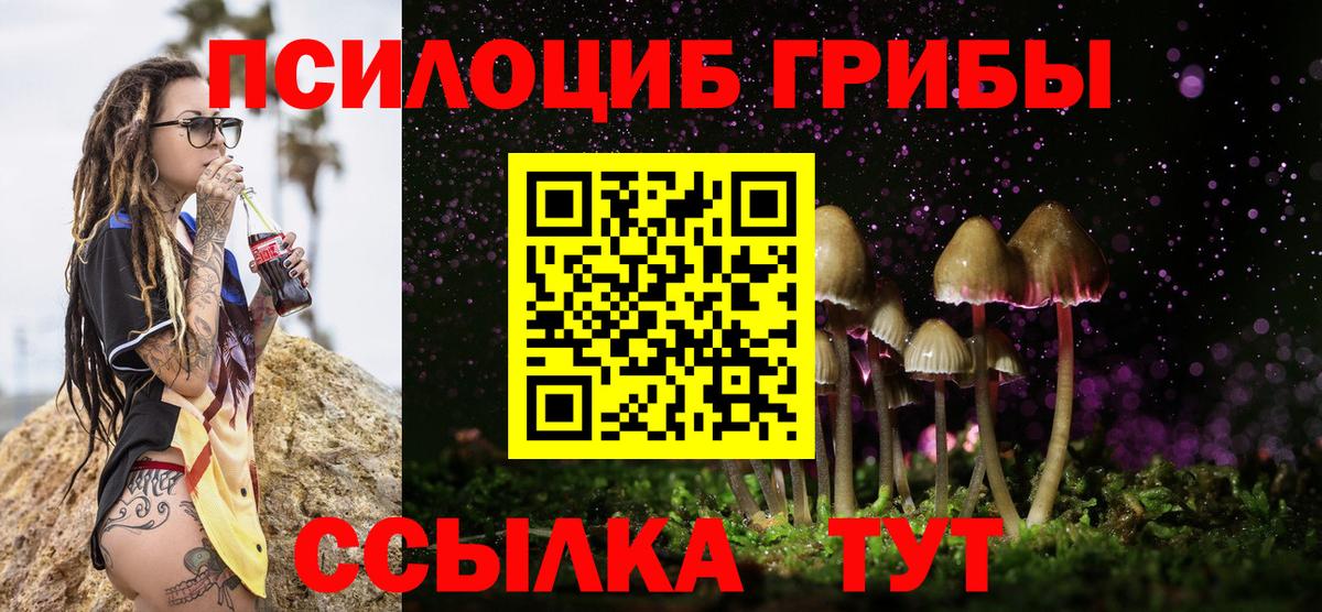 Галлюциногенные грибы Psilocybe  Вход с VPN  Галлюциногенные грибы ЛСД  Сунжа 