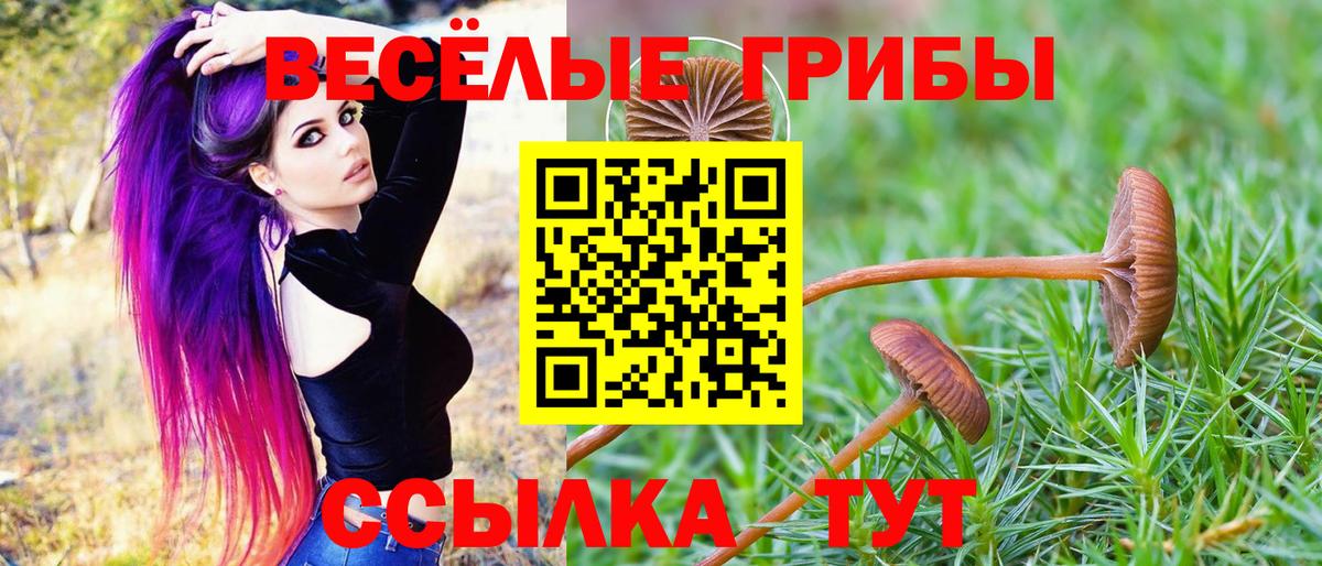 Галлюциногенные грибы MAGIC MUSHROOMS Сунжа